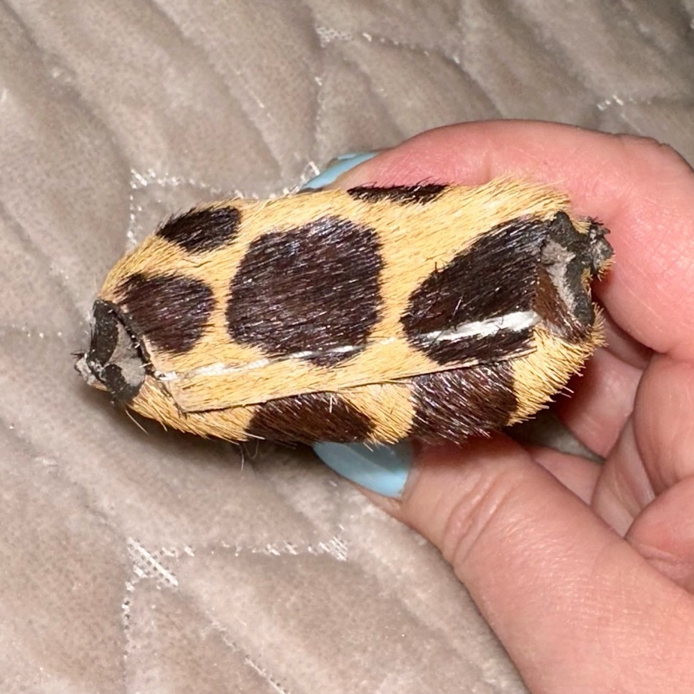 Leopard Print Mini Flask - Picture 6 of 6